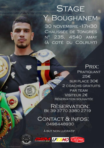 Affiche stage de boxe